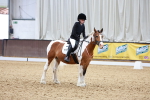 SBM_005919