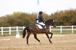 SBM_000647
