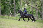 WJ6_1449