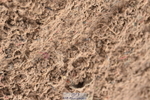 231101A-105932-00066