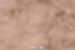 240505A-103228-04597