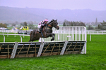 141125-Race 5-Heads Up-0945