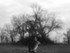 Out of the Thicket