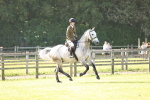SBM_10697