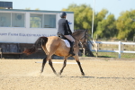 SBM_001780