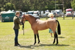 SBM_05574