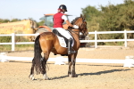 SBM_007772