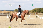 SBM_019245