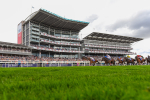 260823-Race 4-Absurde-1641