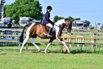 SBM_11738