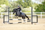 SBM_007828