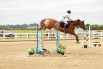 SBM_017420