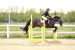 SBM_009416