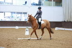 SBM_003832