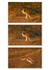 Red Kangaroo Triptych 1