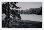 Another December 1