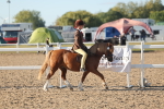 SBM_10891