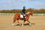 SBM_000969