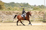 SBM_003541