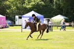 SBM_15578