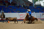 3HRodeo8-11-25_PRCASteer_07299_