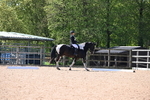 WJ6_8328