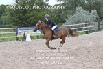 BPP_2012