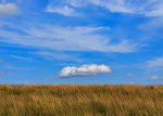 Dorset-5