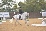 SBM_02074