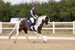 SBM_008847