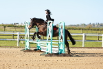 SBM_000295