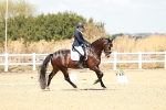 SBM_018064