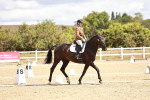 SBM_004232
