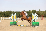 SBM_001586