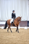 SBM_006953