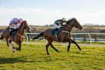 050325-Race 3-Ensel Du Perche-6879