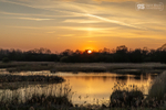 Sunset, Avalon Marshes