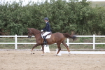 SBM_002732