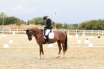 SBM_003817