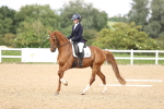 SBM_002195