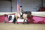 SBM_07991