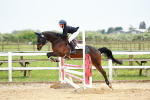 SBM_009337