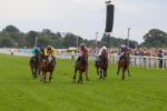 270724-Race 6-Ziggy-4789