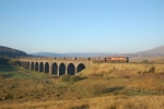 11.10.10 - 66074 6M20 Drax - Kirkby Thore, Dandry Mire