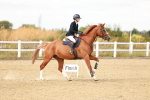 SBM_006968