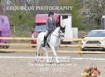 BPP_9002