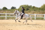 SBM_003176