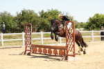 SBM_002620