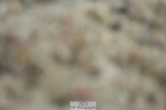 230630A-140748-02881
