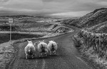 On The Road To Durness